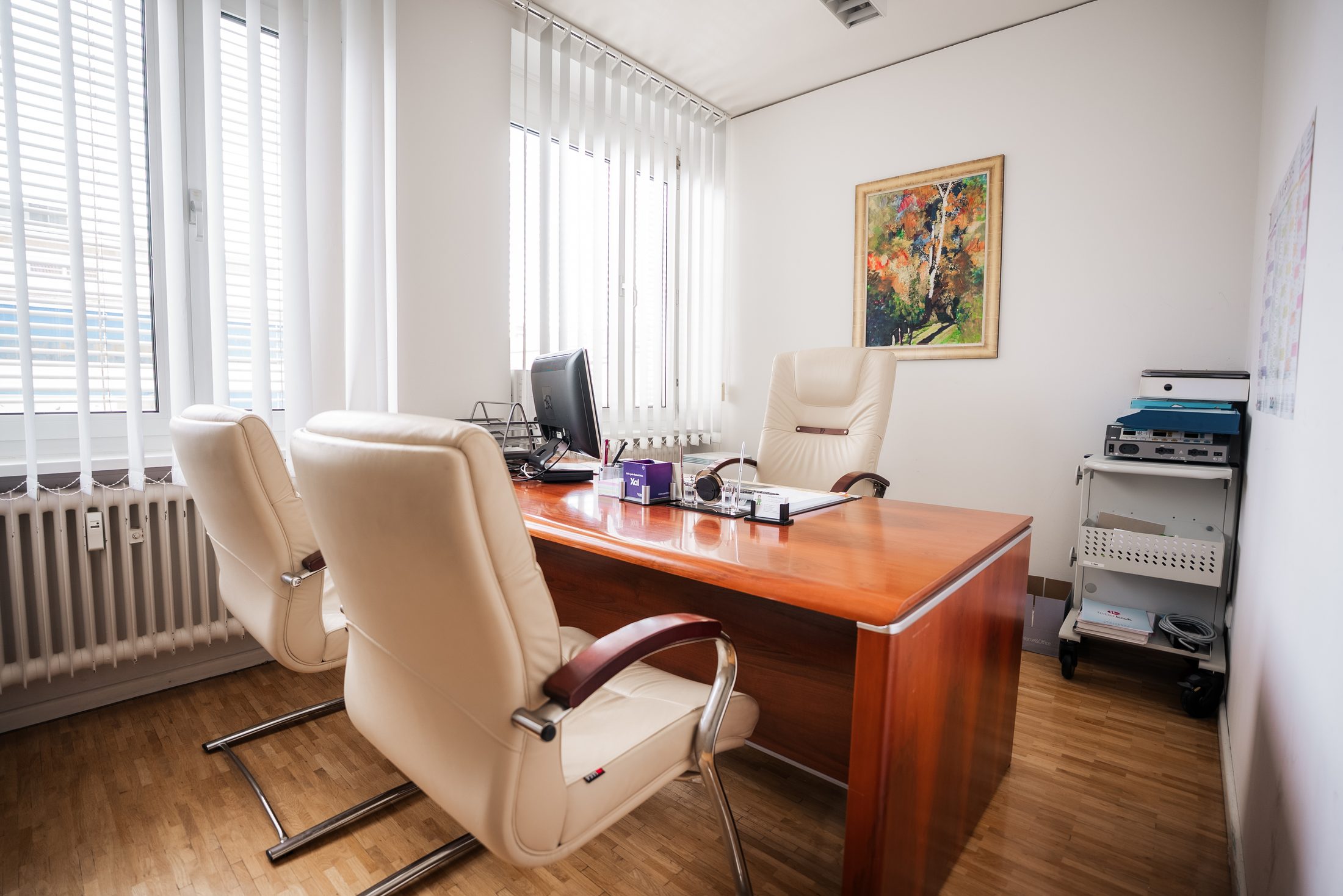 Sprechzimmer mit Schreibtisch und Apple-Arbeitsplatz